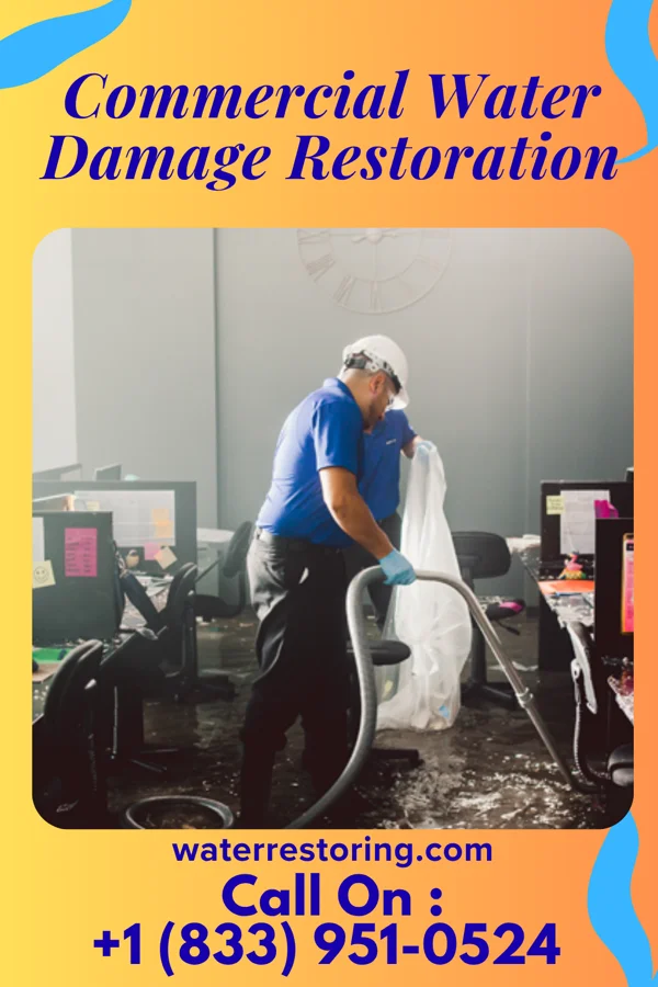 Commercial Water Damage Restoration in Colon, MI