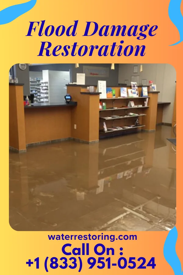 Flood Damage Restoration in Colon, MI