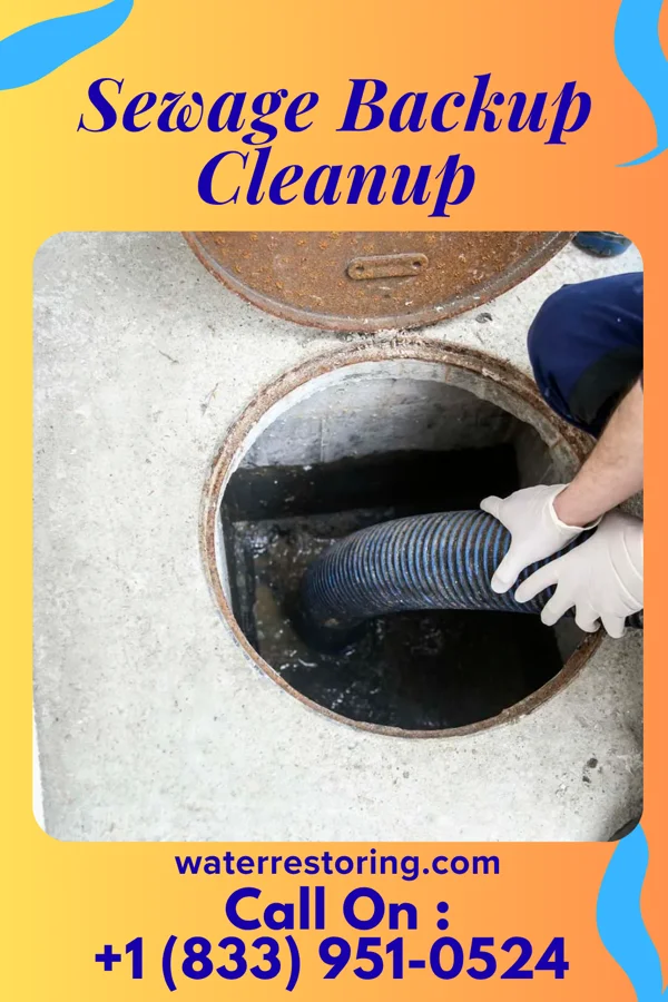 Sewage Backup Cleanup in Colon, MI