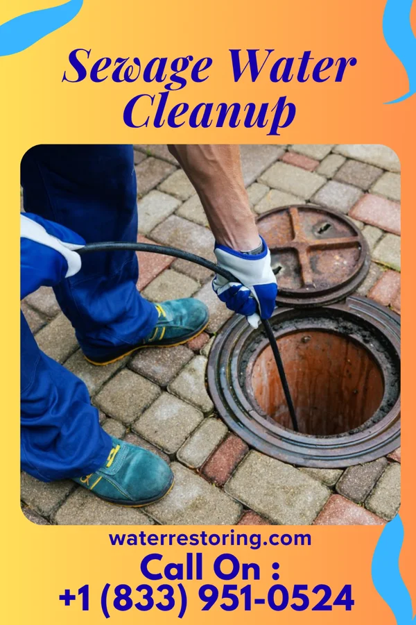 Sewage Water Cleanup in Colon, MI